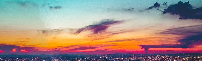 枝江茶虫网_枝江品茶